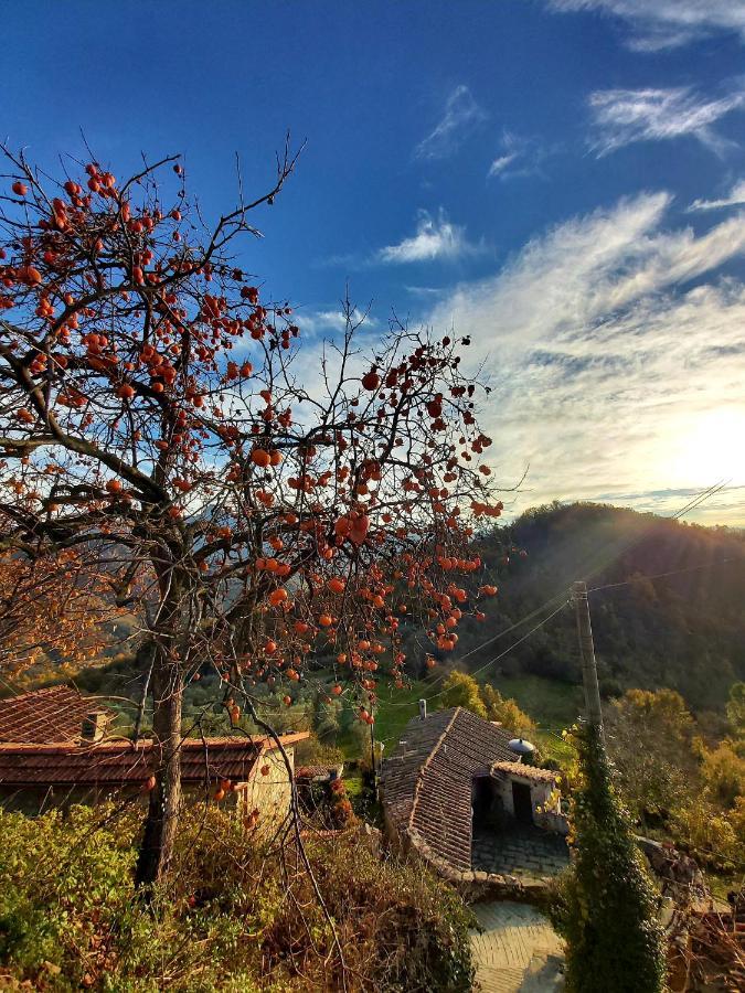 Il Convento Di Casola Casola in Lunigiana Exteriör bild